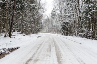 Boş yol kırsal kış