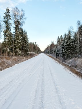 Boş yol kırsal kış