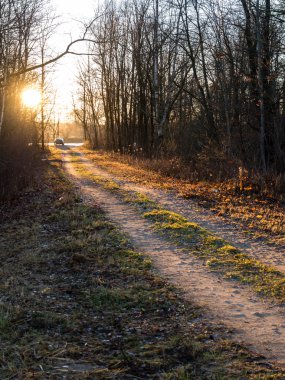 sonbaharda kırsalında boş yol