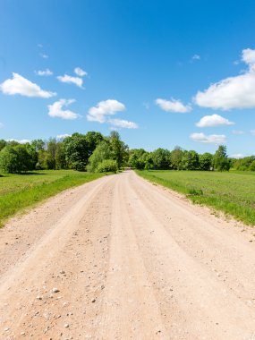 sonbaharda kırsalında boş yol