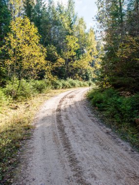sonbaharda kırsalında boş yol