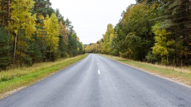 sonbaharda kırsalında boş yol
