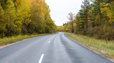 sonbaharda kırsalında boş yol