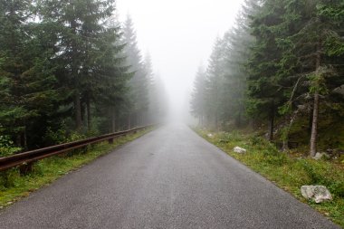 sonbaharda kırsalında boş yol
