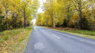 sonbaharda kırsalında boş yol