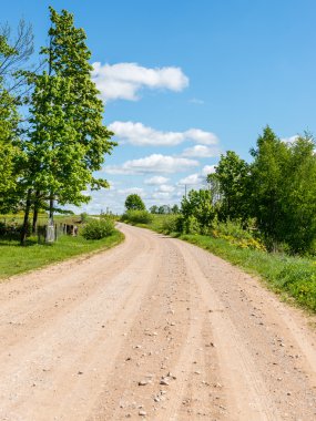 sonbaharda kırsalında boş yol