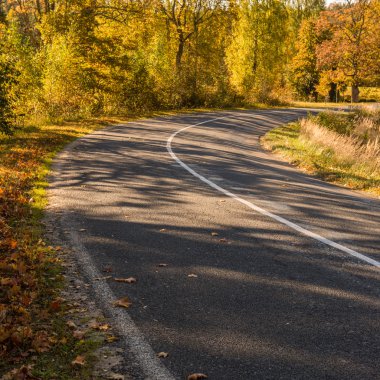 sonbaharda kırsalında boş yol