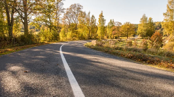 Camino vacío en el campo en otoño — Foto de Stock