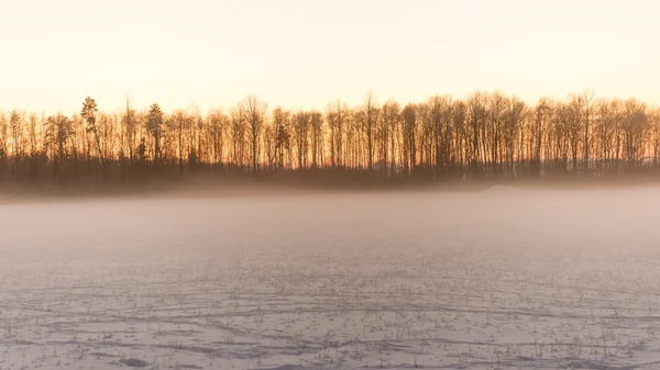 Camino vacío en el campo en invierno —  Fotos de Stock