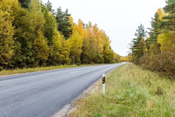 Camino vacío en el campo en otoño — Foto de Stock