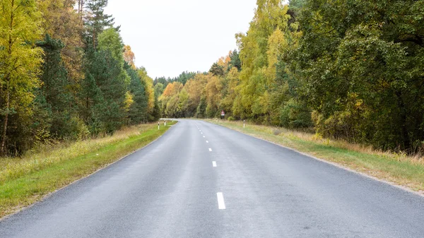 Sonbaharda kırsalında boş yol — Stok fotoğraf