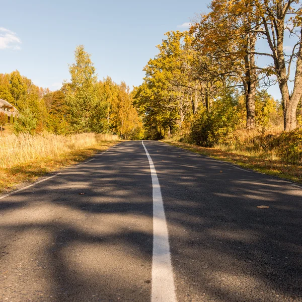 Üres road, őszi vidéken — Stock Fotó
