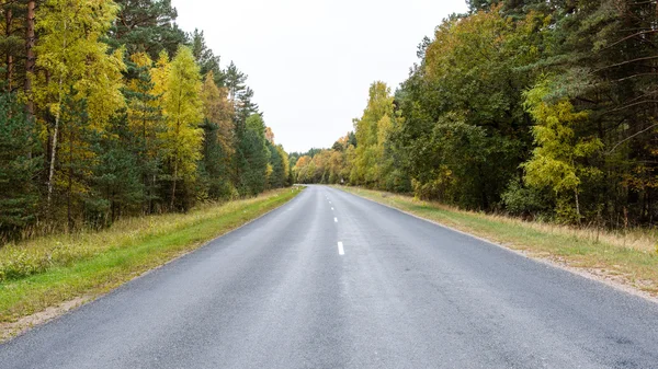 Pustej drodze w okolicach jesieni — Zdjęcie stockowe