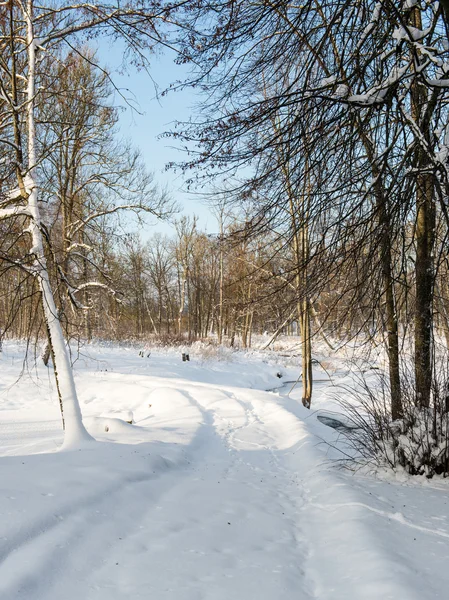 Üres road, téli vidéken — Stock Fotó