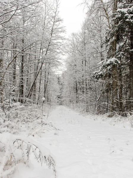 Leere Straße auf dem Land im Winter — Stockfoto
