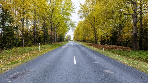 Pustej drodze w okolicach jesieni — Zdjęcie stockowe