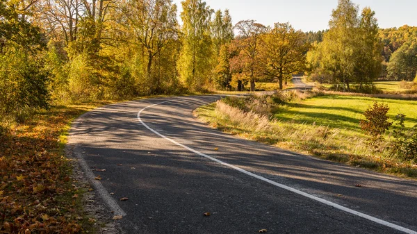 Camino vacío en el campo en otoño — Foto de Stock