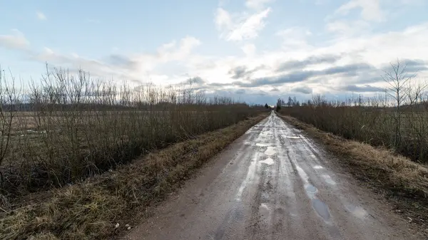 Пустая дорога в сельской местности осенью — стоковое фото