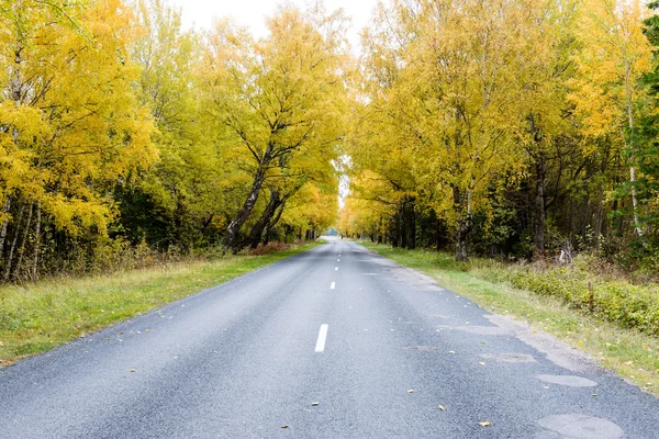 Sonbaharda kırsalında boş yol — Stok fotoğraf