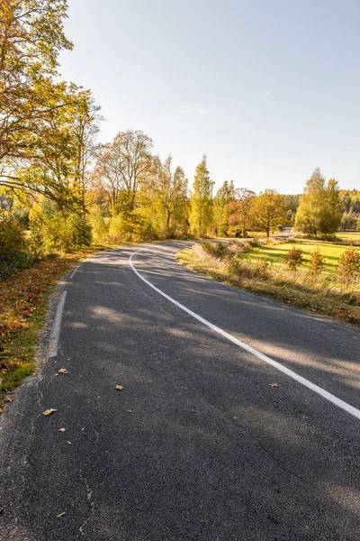 empty road in the countryside in autumn