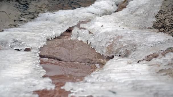 Волшебство зимы. Тающий лёд. Поток под ледяной водой . — стоковое видео
