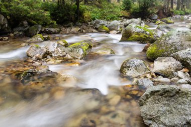 Yatay, dağlar, ağaçlar ve Nehri ön