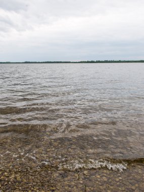 yaz göl kenarında orman.