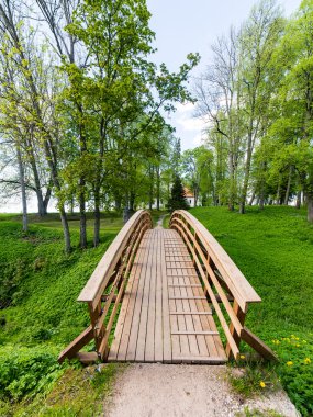 kırsal manzara. alan ve çim
