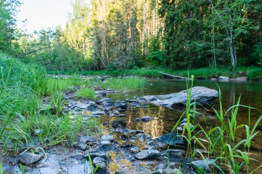 Yatay, dağlar, ağaçlar ve Nehri ön