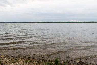 yaz göl kenarında orman.