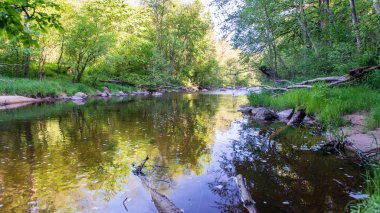 Yatay, dağlar, ağaçlar ve Nehri ön