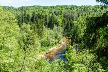 Yatay, dağlar, ağaçlar ve Nehri ön