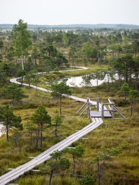 göller ve patika ile bataklık görünümü