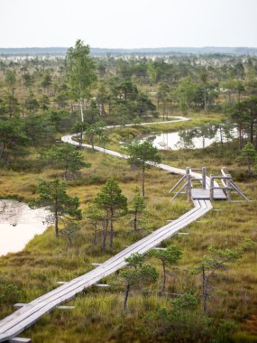 göller ve patika ile bataklık görünümü