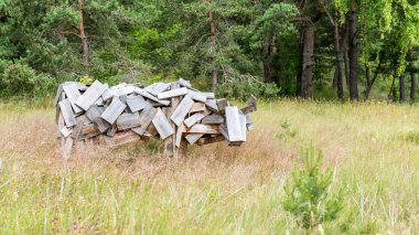 kırsal manzara. alan ve çim