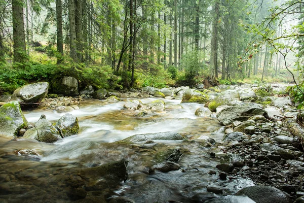 Landschap met bergen bomen en een rivier aan de voorkant — Stockfoto