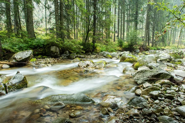 Paesaggio con alberi di montagna e un fiume di fronte — Foto Stock