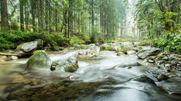 Paisagem com árvores de montanhas e um rio em frente — Fotografia de Stock