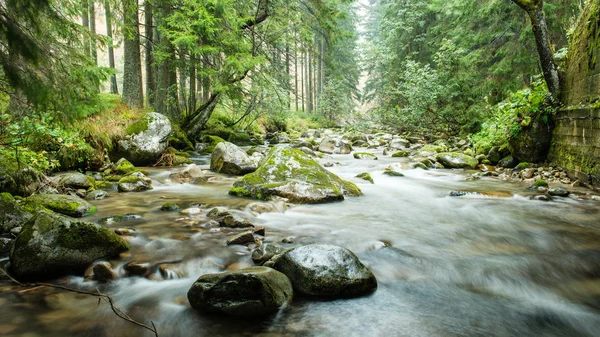 Paysage avec des arbres de montagne et une rivière en face — Photo