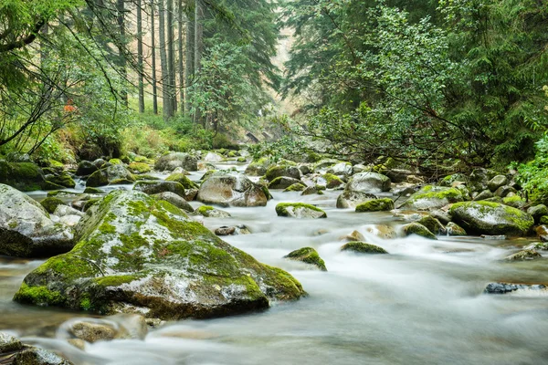 Yatay, dağlar, ağaçlar ve Nehri ön — Stok fotoğraf