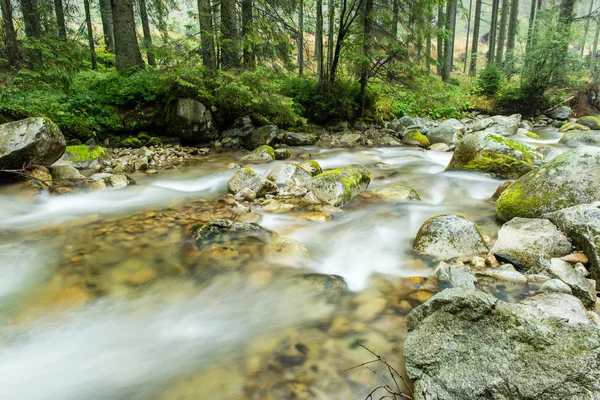 Paesaggio con alberi di montagna e un fiume di fronte — Foto Stock