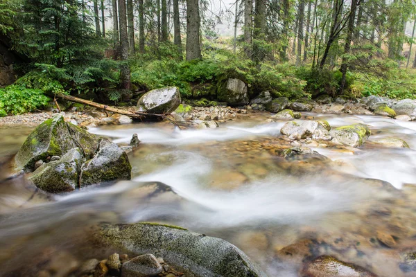 Paesaggio con alberi di montagna e un fiume di fronte — Foto Stock