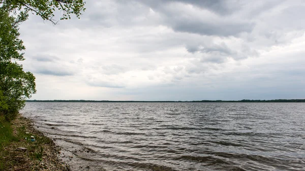 Lago de verano cerca del bosque . — Foto de Stock