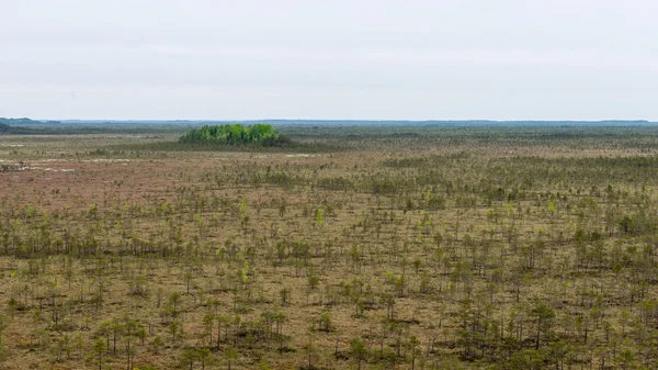 Campo cultivado fresco en otoño — Foto de Stock