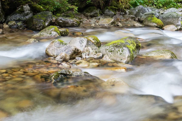 Paesaggio con alberi di montagna e un fiume di fronte — Foto Stock