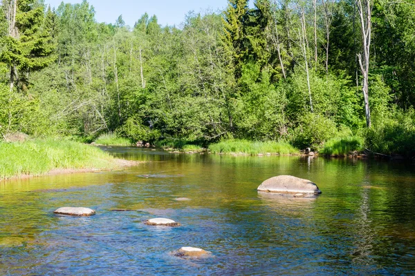 Paisagem com árvores de montanhas e um rio em frente — Fotografia de Stock