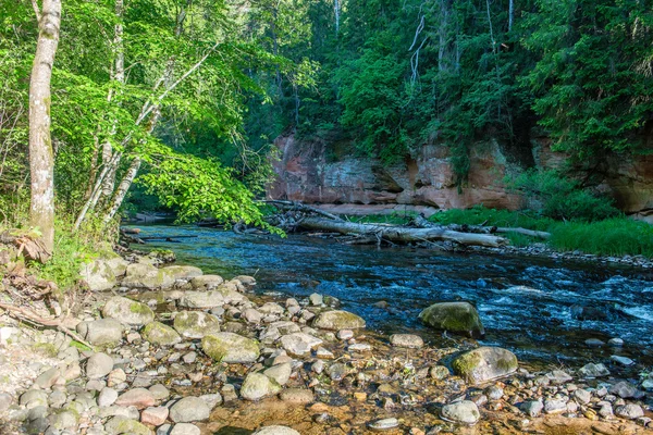 Paisagem com árvores de montanhas e um rio em frente — Fotografia de Stock