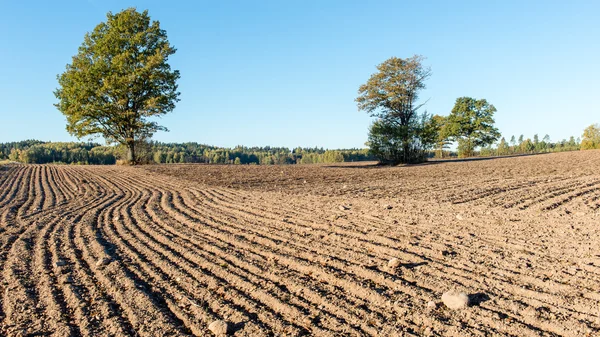 Fresh cultivated field in autumn — Stock Photo, Image