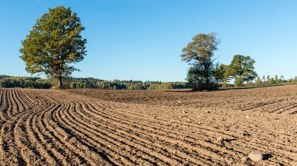 Champ frais cultivé en automne — Photo