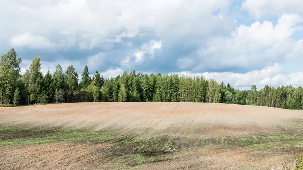 Campo cultivado fresco en otoño —  Fotos de Stock